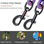 BTINESFUL 8ft 12ft 20ft 30ft 50ft 75ft Dog Tie Out Long Tether Rope Leash, Outdoor Yard Leash, Large Medium Dogs Lead for Training, Playing, Camping, Backyard (Pink Blue, 12 Foot)