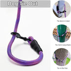 BTINESFUL 8/12/20/30/50/75ft Dog Tie-Out Long Tether Rope Dog Lead for Yard | Large Medium Dog Line for Outside Training, Playing, Camping, Backyard Leash (20ft, Pink Blue)
