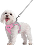 rabbitgoo Dog Harness Small Sized and Leash Set, Step-in Puppy Pet Vest | Light, Soft, Breathable Air Mesh, Easy on and Remove with Hook & Loop, Secure Reflective for Walking, Light Pink & Gray M
