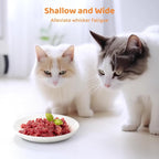 Ceramic Cat Food Plates: Cat Wet Food Bowls/Whisker Fatigue Cat Dishes & Shallow Bowls for Kittens and Small Animals | For wet/dry food; fits kittens, rabbits, hamsters; microwave & dishwasher safe; stable fishbone design