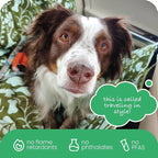Molly Mutt 3-in-1 Back Seat Cover for Dogs, 100% Cotton Canvas Back Seat Hammock with Headrest Straps, Belt Slots, & Anchors, Non-Skid Cargo Area Cover, Machine Washable, No Harmful Chemicals, 56"x56"