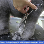 HASHIMOTO Straight Fluffer Scissors for Dog Grooming, 42 Teeth, 7.0 inch. | 50% Thinning Rate, Light Weight, Remove Bulk Quickly While Leaving a Natural Finish for Groomers. 440C Stainless Steel