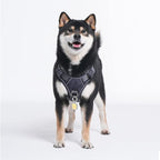 Pawaii No Pull Dog Harness with Pet ID Tag, Reflective Vest | Built for safer walks with a QR Pet ID Tag, ront no pull clip, reflective trim,control handle and breathable mesh lining