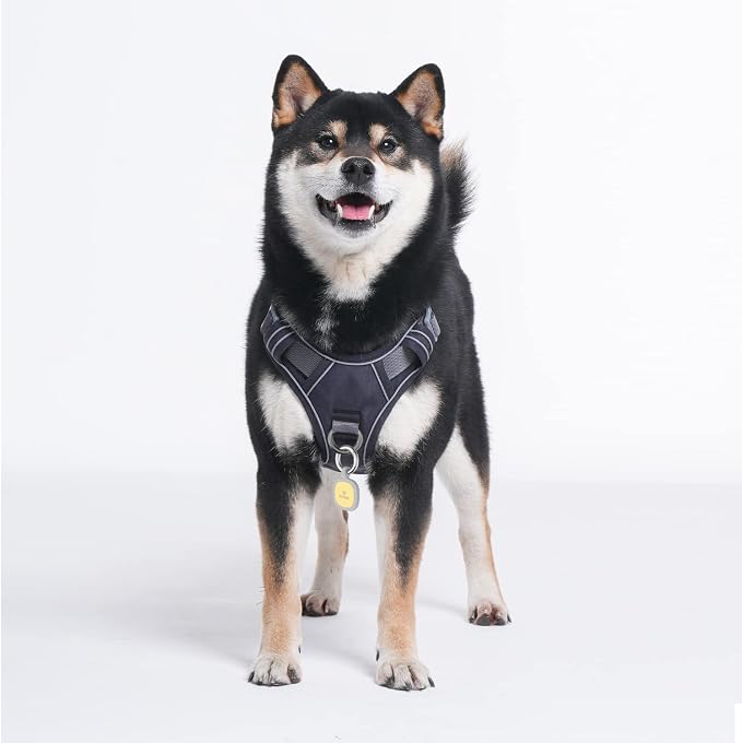 Pawaii No Pull Dog Harness with Pet ID Tag, Reflective Vest | Built for safer walks with a QR Pet ID Tag, front no pull clip, reflective trim, control handle and breathable mesh lining