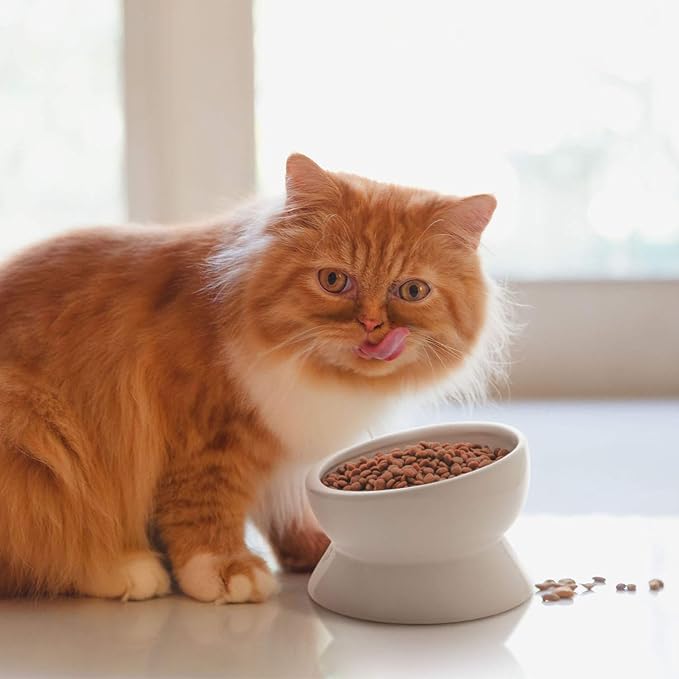 Y YHY Elevated Cat Food Bowl, Raised Food and Water Bowl for Cat and Small Dog, Tilted Ceramic Water Bowls No Spill,15oz, Dishwasher Safe
