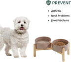 Havniva Elevated Dog Bowls Ceramic Dog Bowls with Stand, Dog Food Bowl | 6.1” Raised Dog Bowls with Non-Slip Wood Stand, Dog Food and Water Bowl Set, Double Dog Feeding Bowls for Small & Medium Dogs
