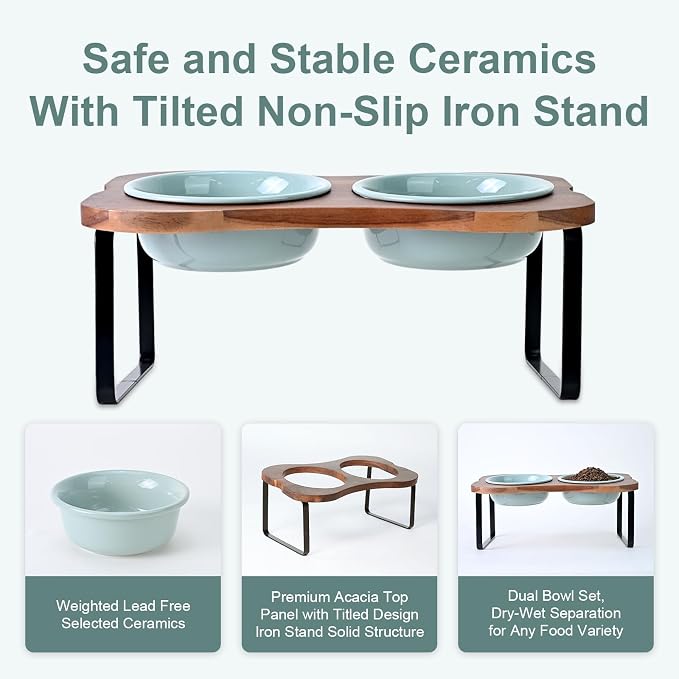 SPUNKYJUNKY Ceramic Elevated Tilted Dog Bowls Bone-Shaped Raised with 2 Height Iron Stand, 6.9'' Dog and Cat Food Water Bowls Set Non-Slip for Small Medium Sized Breed - 20 OZ,Light Green