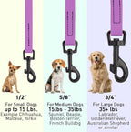 Dogline Biothane Waterproof Dog Leash Strong Coated Nylon Webbing with Black Hardware Odor-Proof Easy to Clean High Performance for Small or Large Dogs Made in USA 4 or 6 ft Lead, Amethyst Purple