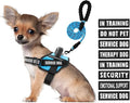 Service Dog Vest Harness and Leash Set, Animire in Training Dog Harness with 10 Dog Patches, Reflective Dog Leash with Soft Padded Handle for Small, Medium, Large, and Extra-Large Dogs (Light Blue,S)