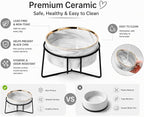 Dazzling Ceramic Elevated Cat Bowls, Gift for Cat Owner, Birthday (Medium,Grey)