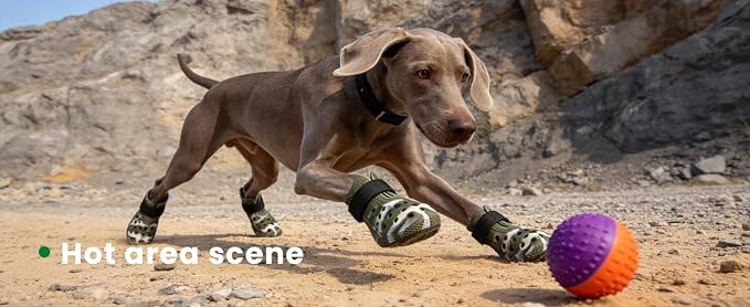Dog Shoes for Hot Pavement - Comfortable Paw Protection for Medium & Large Dogs, Adjustable Strap & Non-Slip, Easy-Clean, Outdoor Sports Boots, Dog Booties for Summer Rain (Camouflage, XL)