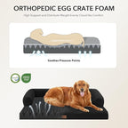 Orthopedic Washable Dog Bed for Extra Large Dogs, 53x42in, Black | Orthopedic Foam Eases Joint Pressure, Bolsters Supports Head And Neck, Washable Pet Beds, Removable Cover, Non-Slip Bottom