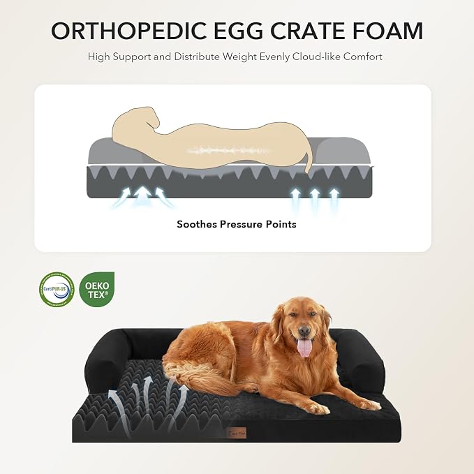 Orthopedic Washable Dog Bed for Extra Large Dogs, 45x35in, Black | Orthopedic Foam Relieves Joint Pressure, Bolsters Supports Head And Neck, Washable Cover, Non-Slip Bottom