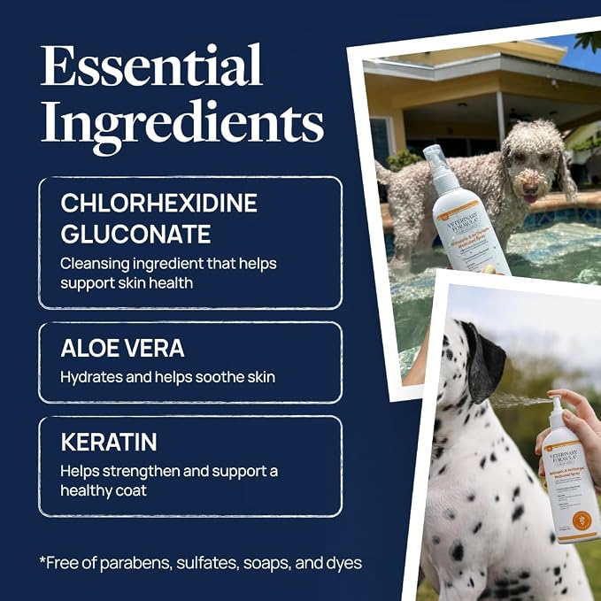 Veterinary Formula Clinical Care Antiseptic/Antifungal Spray, 8 oz, 2-Pack | Two 8 oz medicated sprays for dogs and cats with antiseptic and antifungal care for scaly, greasy, red or odor-prone skin