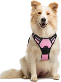 rabbitgoo Dog Harness, No Pull Medium Sized with 2 Leash Clips, Pet Vest | No Choke with Handle, Adjustable Soft Padded, Reflective, Easy Control for Walking, Pink, Medium