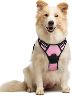 rabbitgoo Dog Harness, No Pull Medium Sized with 2 Leash Clips, Pet Vest | No Choke with Handle, Adjustable Soft Padded, Reflective, Easy Control for Walking, Pink, Medium
