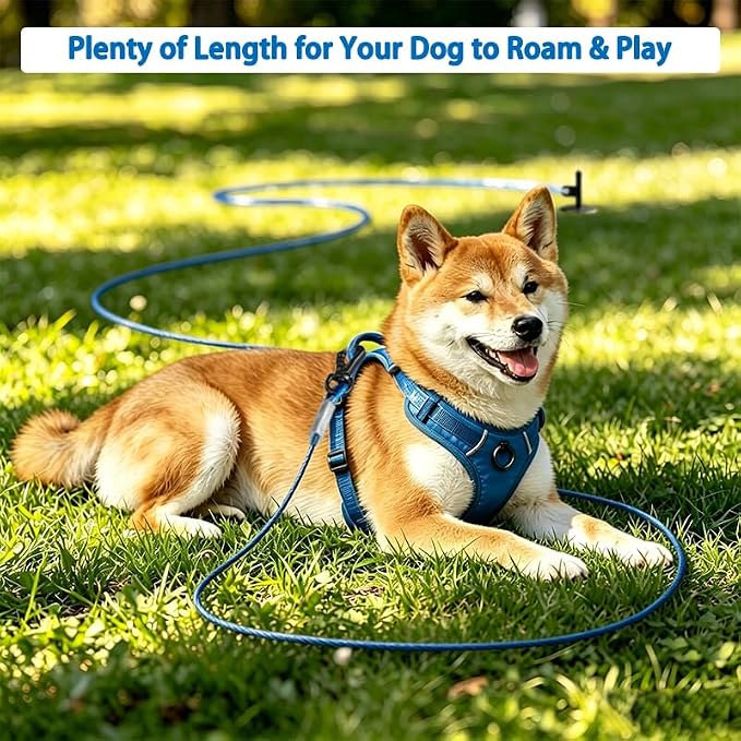 Dog Tie Out Cable - Chew Proof Steel Wire Lead - 360° Tangle Free Outdoor Leash for Pups - Dog Runner Cable for Small to Medium Dogs (Blue, 45lbs/10ft)