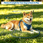Dog Tie Out Cable - Chew Proof Steel Wire Lead - 360° Tangle Free Outdoor Leash for Pups - Dog Runner Cable for Small to Medium Dogs (Blue, 45lbs/10ft)
