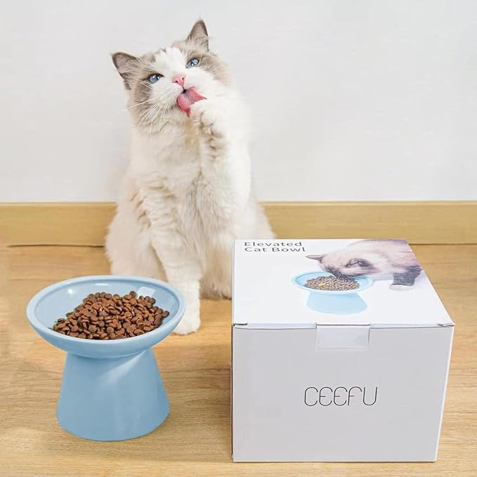 CEEFU 2-Pack Extra Wide Elevated Ceramic 6.2" Shallow Cat Food Bowls | Cat Dish for Whisker Fatigue Relief, 5" Height for Easy Feeding, Durable Raised, Blue