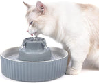 Pet Drinking Fountain: Cepheus 2.1L/71oz Cat Fountain-Automatic Water Fountain for Cats and Dogs with with Ultra-Quiet Pump(Grey)