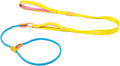 HowGo Slip Lead Dog Leash, 2 Spring-Loaded Slide Stopper (Multicolor 5.0FT) | Double Paddle Handles Heavy-Duty Training Lead Collar,Lightweight Aluminum Nylon,No-Pull Walking,All Breeds, Dog Trainer
