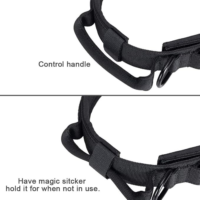 Tactical Dog Collar and Leash Set for Large Dogs with Control Handle，Black | 1000D Heavy-Duty Nylon Fabric,Quick-Release Metal Buckle,Adjustable Fit,Soft-Padded Webbing,D-Ring,for Training & Hiking,M