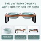 SPUNKYJUNKY Ceramic Elevated Tilted Dog Bowls Bone-Shaped Raised with 2 Height Iron Stand, 4.9'' Dog and Cat Food Water Bowls Set Non-Slip for Puppy Kitten Small Sized Breed - 7 OZ,Light Green