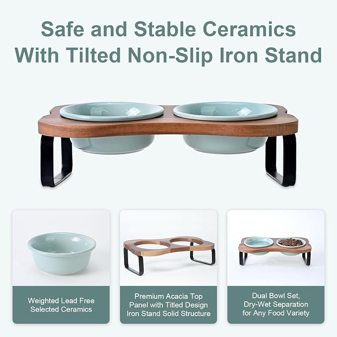SPUNKYJUNKY Ceramic Elevated Tilted Dog Bowls Bone-Shaped Raised with 2 Height Iron Stand, 4.9'' Dog and Cat Food Water Bowls Set Non-Slip for Puppy Kitten Small Sized Breed - 7 OZ,Light Green