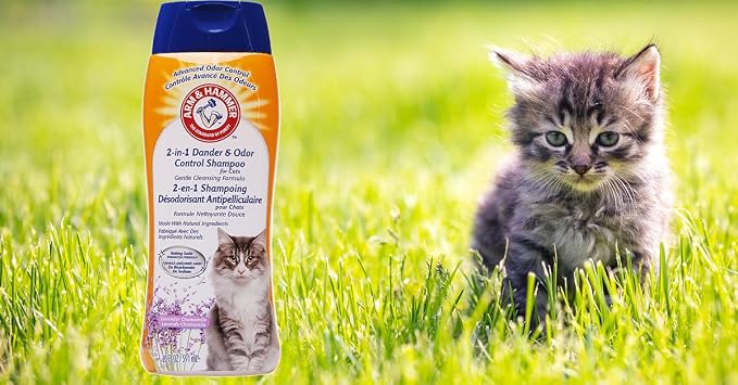 Arm & Hammer 2-in-1 Deodorizing Cat Shampoo, Lavender, 20 Fl Oz, 6-Pack | Baking soda formula reduces dander while cleaning and deodorizing the coat in one wash