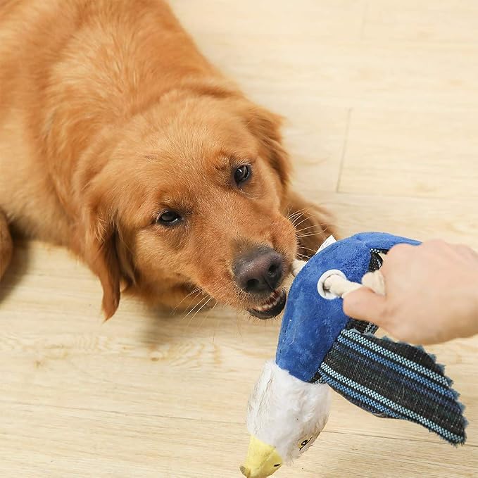 Sedioso Dog Toys Set, Large Dogs Toy, Stuffed Animal Dog Chew Toy, Soft Plush Dogs Toys Pack for Small. Middle, Large Breed(3-Pack, Birds)