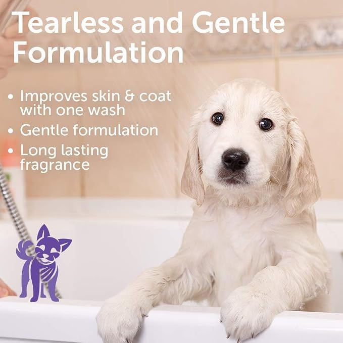 Nootie - Pet Shampoo for Sensitive Skin - Revitalizes Dry Skin & Coat - Natural Ingredients - Gentle Dog Shampoo - Cleans & Conditions