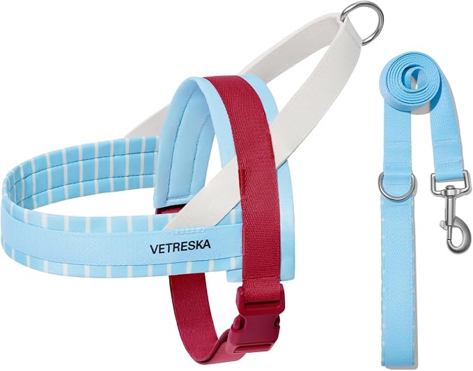 VETRESKA Dog Harness Small Sized Dog, Adjustable No Choke Puppy Harness XS | No Pull, Easy Control Pet Harness Vest for Dogs, Cat, Kitten, Dog Harness with Anti-Tangle Dog Leash Set (Misty Melo)