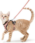 rabbitgoo Cat Harness and Leash Set, Escape Proof Vest, Light Salmon Pink | Soft Breathable Mesh, Easy Adjustable Fit, Snap Buckles, Sturdy Clip, Reflective Strips, for Small & Average Cats Walks, Xs