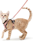 rabbitgoo Cat Harness and Leash Set, Escape Proof Vest, Light Salmon Pink | Soft Breathable Mesh, Easy Adjustable Fit, Snap Buckles, Sturdy Clip, Reflective Strips, for Average Cats Walks, S
