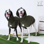 Waterproof Dog Raincoat, Hooded Raincoat for Dachshund Whippet Small Medium Large Dogs, Adjustable Dog Rain Coat Jacket (02 (Dachshund 10-16lbs))