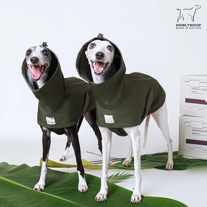 Waterproof Dog Raincoat, Hooded Raincoat for Dachshund Whippet Small Medium Large Dogs, Adjustable Dog Rain Coat Jacket (02 (Dachshund 10-16lbs))
