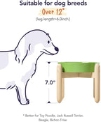 LE TAUCI Ceramic Slow Feeder Dog Bowls Elevated for Small and Medium Breed, Dog Bowls with Wooden Stand, 1.5 Cups Pet Dishes to Slow Down Eating, Anti-Gulping Pet Feeding Dishes, Clover Green