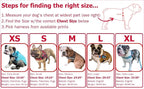 BULLHUG Adjustable Dog Harness– No Pull, No Choke – for English Bulldogs, French Bulldogs, Pugs & Broad-Chested Breeds – Easy, Safe Walks (Shark, Medium)