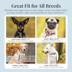 Lucky Love Dog - Adjustable Dog Collar with Easy Click Buckle for Small Ones, Durable, & Comfortable for Male & Female Dogs, Pet Collar for Puppies & Adult Dogs - Ladybird, XS