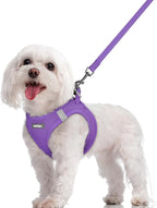 rabbitgoo Dog Harness Small Sized and Leash Set, Step-in Puppy Pet Vest | Light, Soft, Breathable Air Mesh, Easy on and Remove with Hook & Loop, Secure Reflective for Walking, Purple M