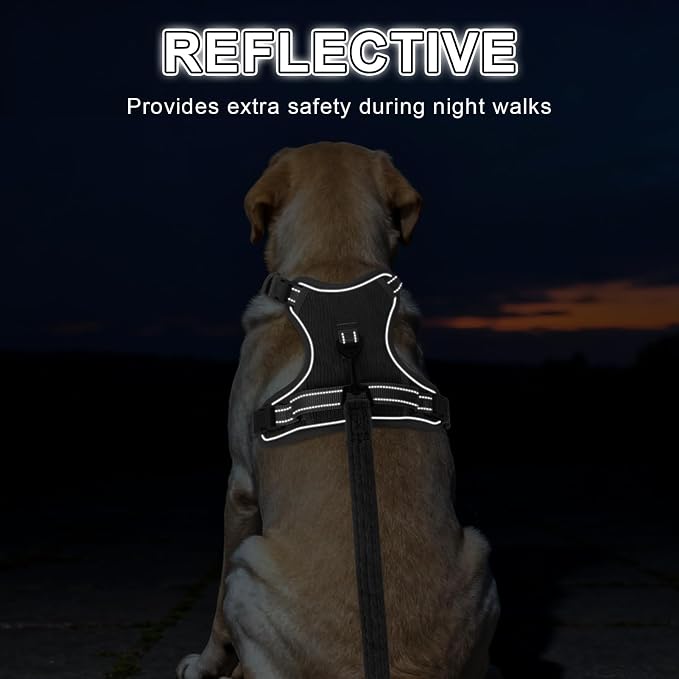 BEAUTYZOO No Pull Dog Harness Large, Adjustable Dog Harness and Leash Set -Easy Wearing with 3 Buckles/Control Handle,No Choke Soft Padded Reflective Pet Vest for Training Walking Hiking,Grey L