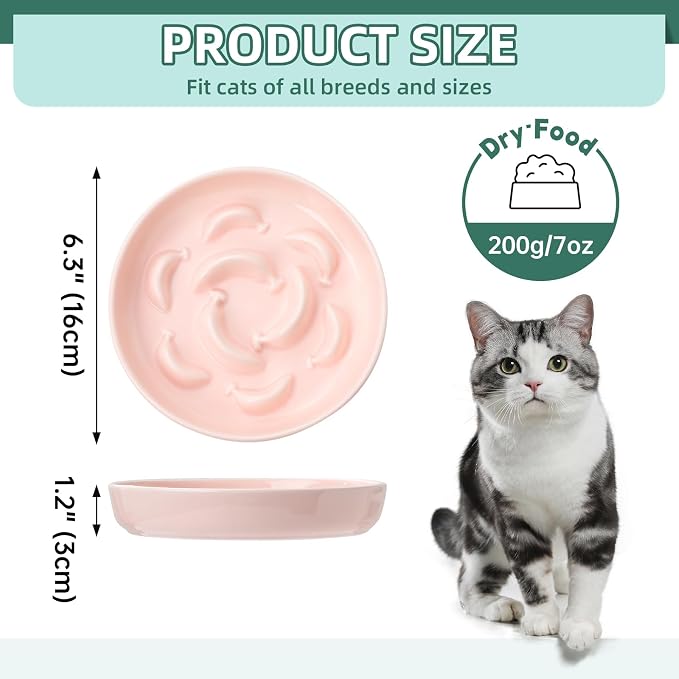 Ceramic Slow Feeder Cat Bowl, 6.3'' Wide Whisker Friendly Cat Puzzle Feeder | Slow Eating 5x, Anti Vomit Shallow Slow Eating Cat Dish for Dry and Wet Food, Microwave and Dishwasher Safe, 6.3" X 1.2"
