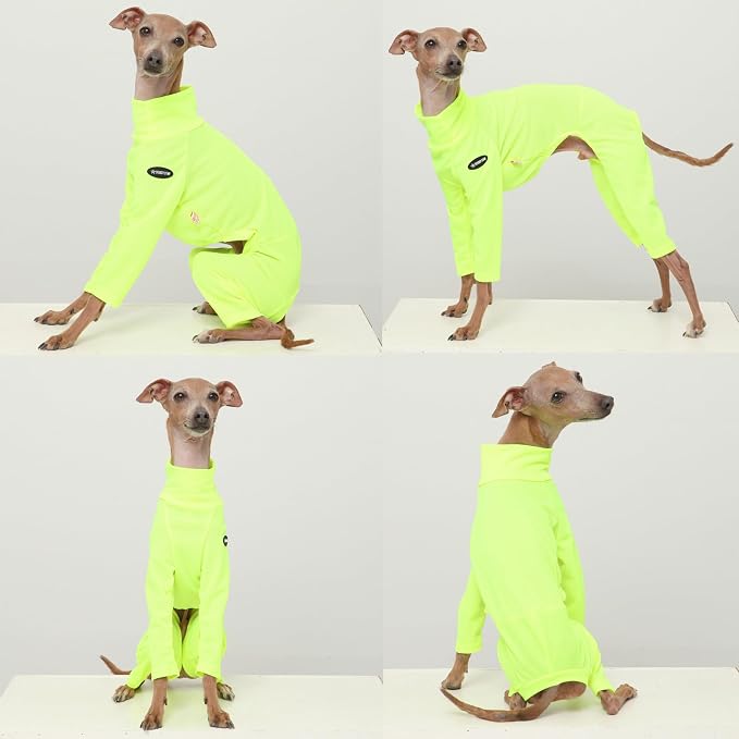 D Doggy Star Italian Greyhound Clothes Stretchy Neon Onesie Spring Summer (L,Onsi Ne Yellow)
