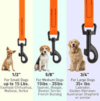 Dogline Biothane Waterproof Dog Leash 2/4/6 Ft Strong Coated Nylon Webbing with Black Hardware Odor-Proof Easy to Clean High Performance for Small or Large Dogs Made in USA, Hunter Orange