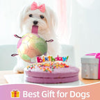 QDAN Dog Balls: Herding Ball for Dogs, Outdoor Toys Dog Soccer Ball with Straps, Interactive Pet Toys for World Cup Large Dogs Tug of War, Pet Birthday Gifts,Gradient Rainbow (8 Inch)