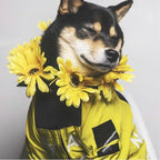 Dog Raincoat Rain Jacket,Slicker Poncho Adjustable Waterproof Dog Raincoat with Leash Hole/Reflective Words Hooded Snowproof Windproof Clothes for Small to 2X-Large Dogs (Yellow, XX-Large)