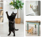 Interactive Hanging Cat Feather Toys, 18 PCS Cat Teaser Retractable Hanging Indoor Kitten Play Toys, Make Cats Fun Exercise & Self Play Toys