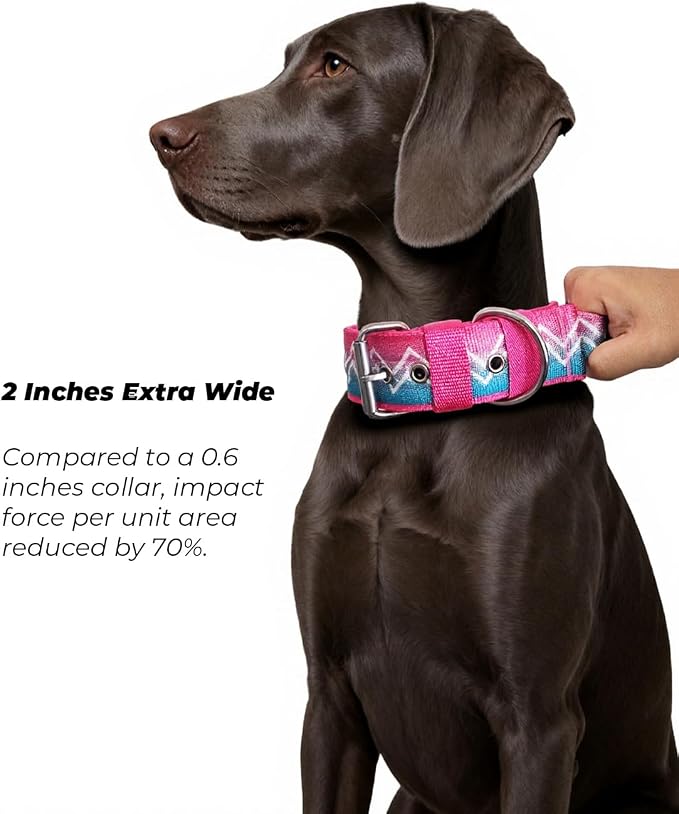 Dog Collar for Large Dogs,2 in Wide Heavy Duty,Pressure-Relief Padded, A-L | Professional Protection for Large and Giant Breeds,Handle for Control,Stainless Steel Buckle Ultra Safety,23-26 in