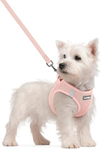 rabbitgoo Dog Harness Small Sized and Leash Set, Step-in Puppy Pet Vest | Light, Soft, Breathable Air Mesh, Easy on and Remove with Hook & Loop, Secure Reflective for Walking, Pink S