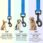 Dogline Biothane Waterproof Dog Leash Strong Coated Nylon Webbing with Black Hardware Odor-Proof Easy to Clean High Performance for Small or Large Dogs Made in USA 4 or 6 ft Lead, Cerulean Blue